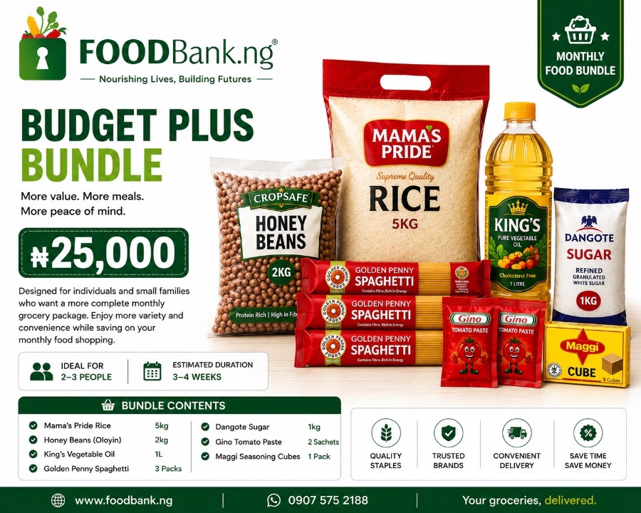 Budget Plus Bundle bundle
